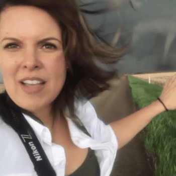 Into the Eye of the Storm with Jaclyn Whittal